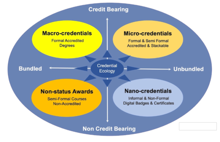 Micro-Credentials, Macro-Impact: How Online Graduate Certificates Can Transform Your Career