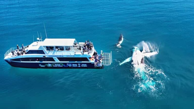 viajar a isla fraser, queensland, australia: qué ver y dónde alojarse