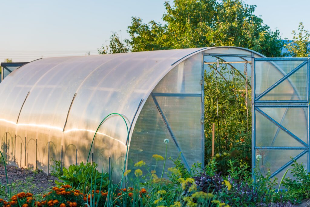 The Benefits of Plant Nurseries | A Guide to Greener Living