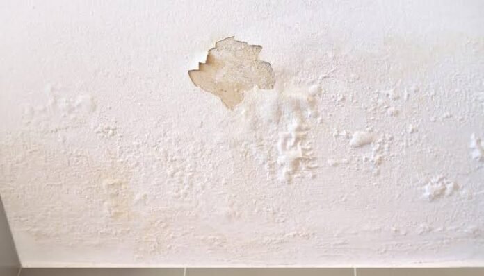 What Is The Appearance Of Water-Damaged Drywall? 