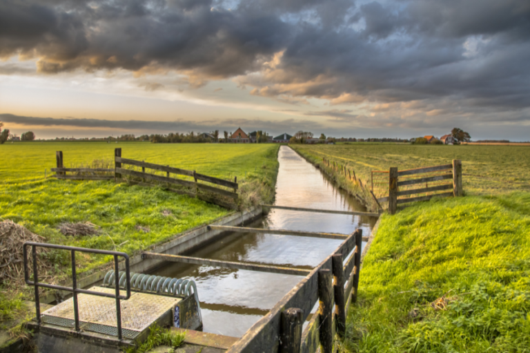 The Importance of Water Management in Agriculture