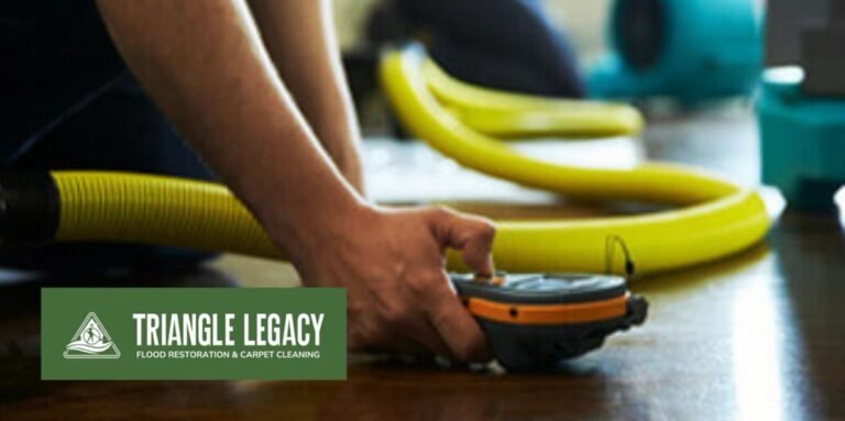 The Importance of Professional Restoration and Cleaning Services