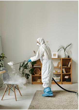 Ultimate Home Maintenance Checklist for Pest Prevention