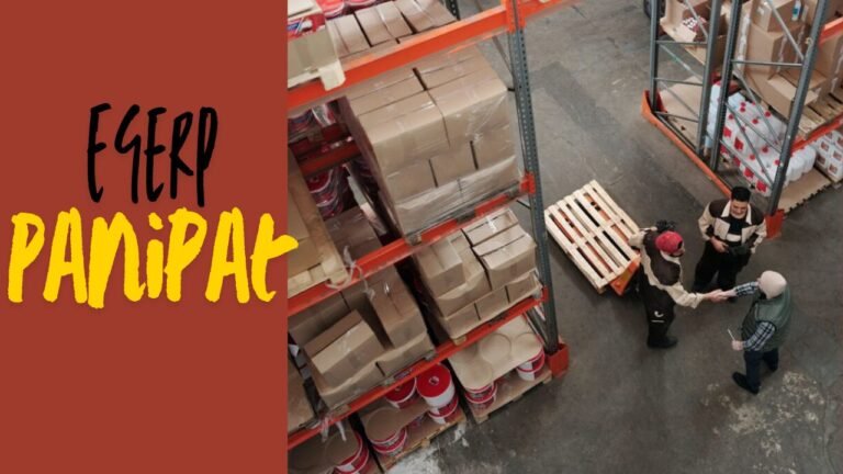 EGERP Panipat: Best ERP Software & Digital Solutions Provider in Haryana