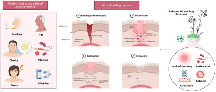 Kialodenzydaisis Healing: What It Is and How It Works