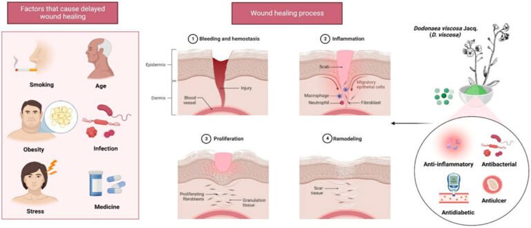 Kialodenzydaisis Healing: What It Is and How It Works