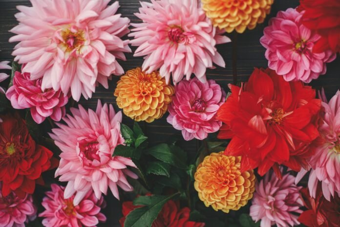 Seasonal Floral Trends