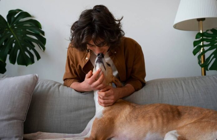 7 Meaningful Ways to Keep Your Pet's Memory Alive
