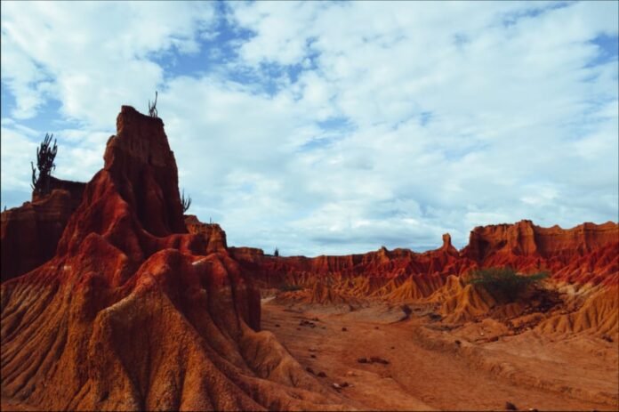 What Makes the Red Rocks Half-Day Trip Feel Exciting 