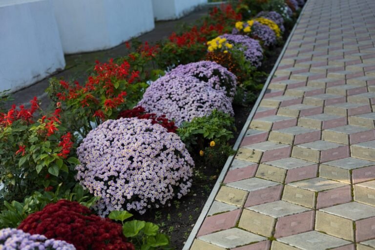 How Stone Trends are Shaping Modern Landscape Design