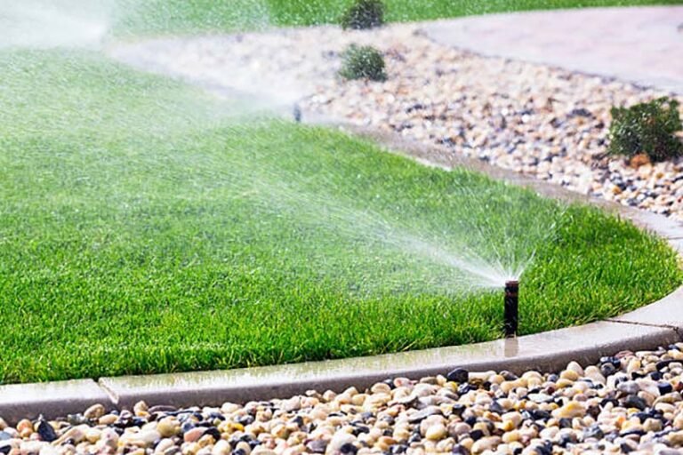 Is Your Lawn Getting the Water It Needs? How Professional Irrigation Installation Can Help