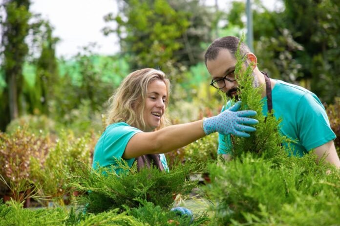 How to Spot Early Signs Your Trees Need Professional Care