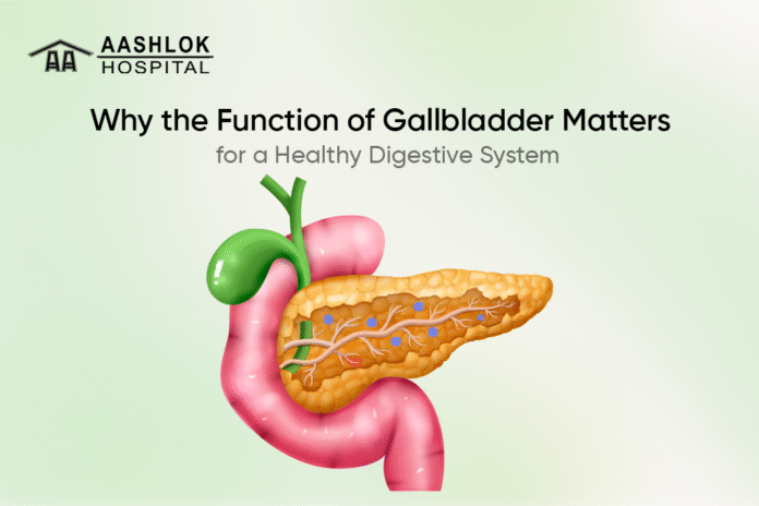 Why Cholagogues Matter: Boost Bile Flow & Digestive Health