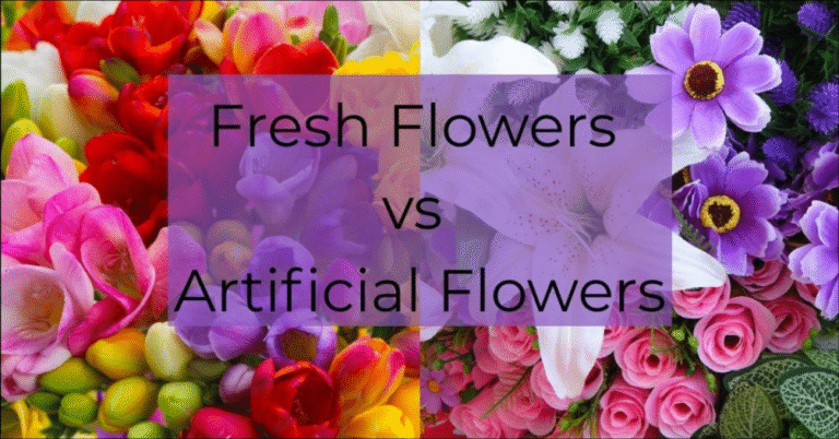 Fresh Flowers vs Artificial Flowers