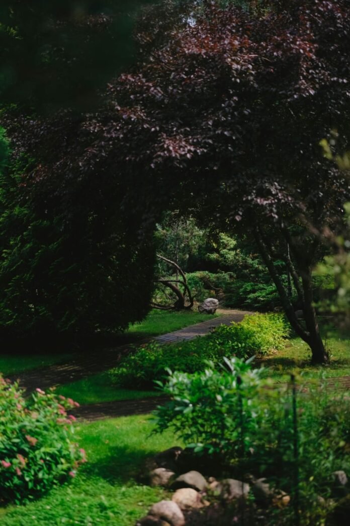 The Rise of Outdoor Art: How Metal Sculptures Are Shaping Garden Aesthetics