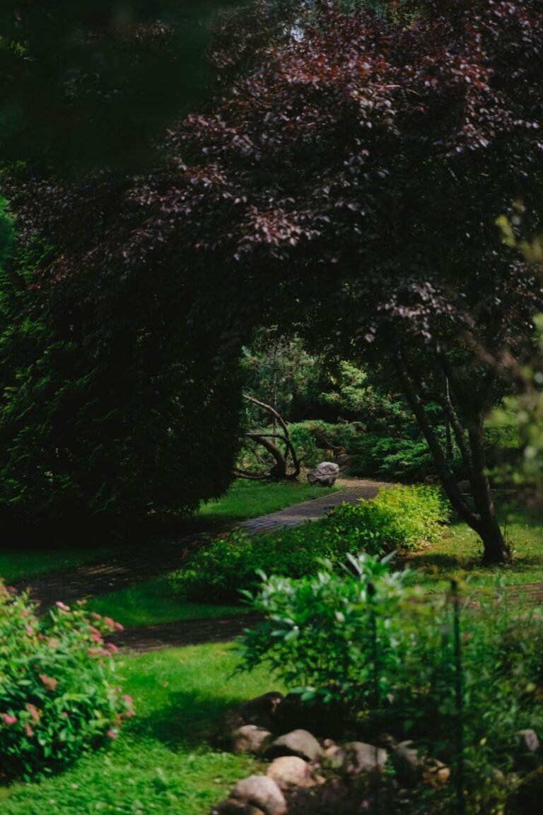 The Rise of Outdoor Art: How Metal Sculptures Are Shaping Garden Aesthetics
