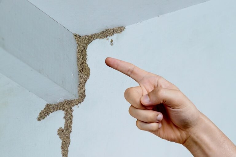How Do I Know If I Need a Pest Control Inspection for Termites in My Home in Winchester NV?