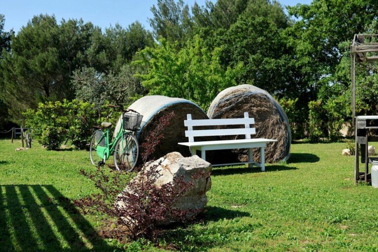 How to Use Decorative Boulders in Landscaping Design