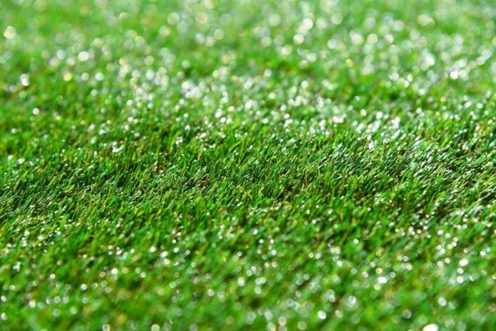 thenewword_4-17 Expert Tips for Selecting the Perfect Turf for Your Outdoor Space