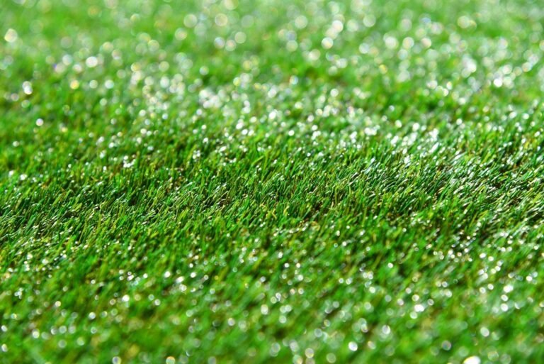 Expert Tips for Selecting the Perfect Turf for Your Outdoor Space