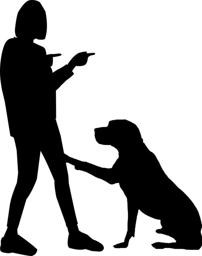 thenewword_9-8 Dog Training Techniques That Build Obedience and Trust
