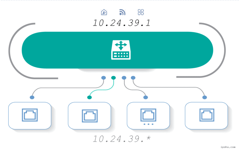 10.24.1.39.113 Explained: IP Address Guide & Uses