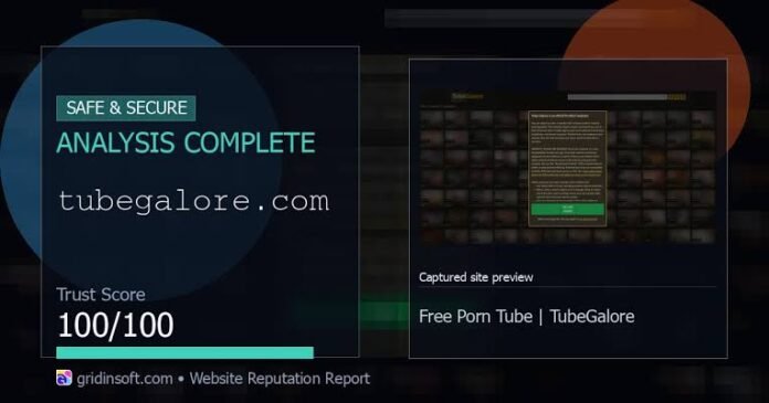 Tubehalote Explained: Features, Uses & Complete Guide